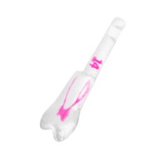 EndoTooth 14 Upper Premolar (KaVo Analog)