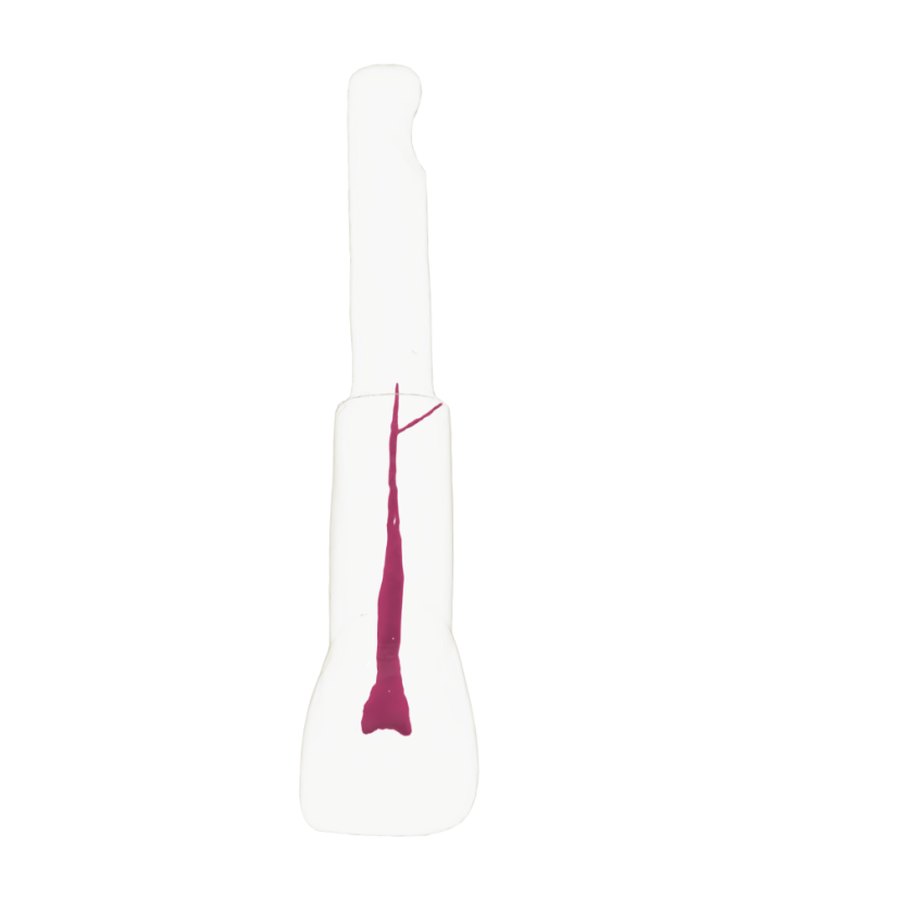 EndoTooth 11 Central Incisor (KaVo Analog)