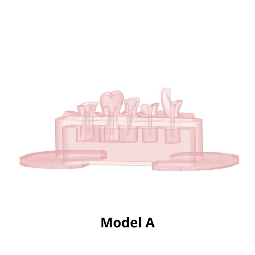 Post-Endo Model - Modelo: Modelo B