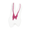 EndoTooth 14 Upper Premolar - Priehladnosť: Priehľadný, Trepanácia: Trepanovaný, Zubná dreň: Bez drene