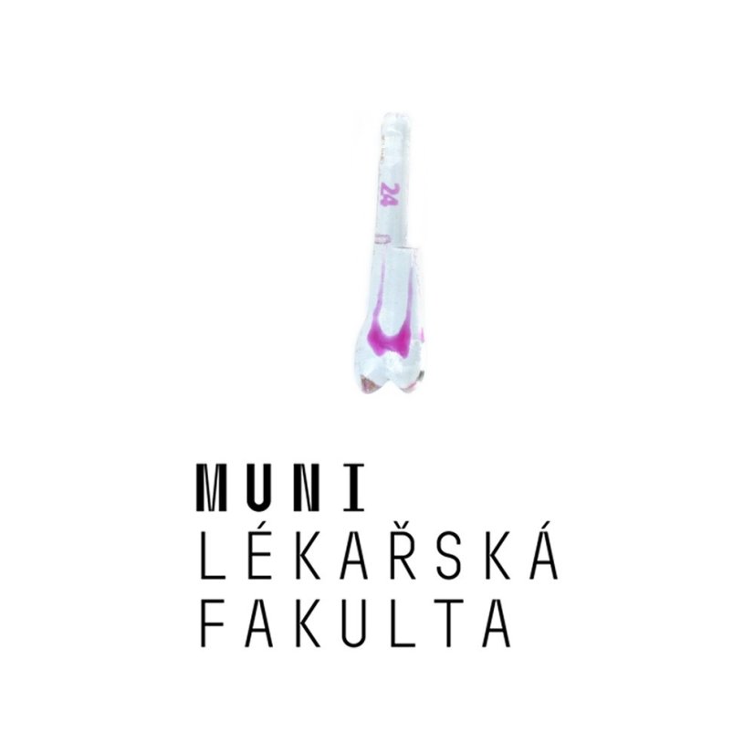 LF Brno EndoTooth, 5th Year - exam