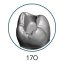 Monomaterial Teeth with Cavities (Biovoxel Typodont) - Zahn wählen: 37 Occlusal Cavity