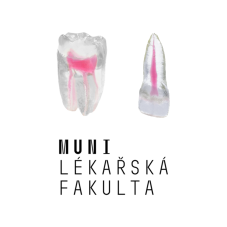 LF Brno Package EndoTooth, 1st Year