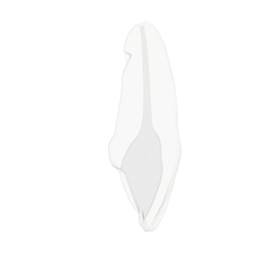 EndoTooth 11 Upper Incisor for Internal Bleach Training (Biovoxel Typodont)