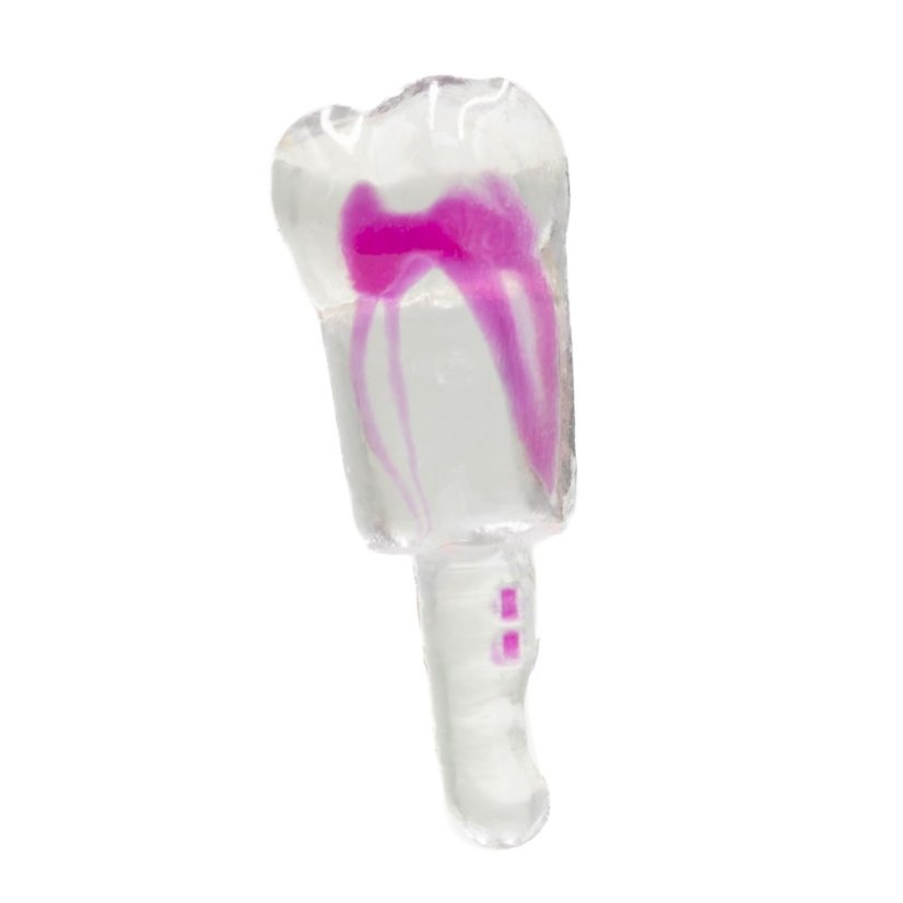 EndoTooth 36 Lower Molar (KaVo Analog)