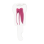 EndoTooth 36 Lower Molar (KaVo Analog)