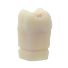 Opaque Endotooth 16 with Occlusal Caries (P-Oclusal)