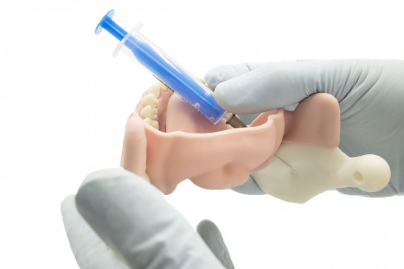 Mandibular Anesthesia Model