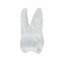 EndoTooth 16 Upper Molar (More Complex) - Transparency: Opaque, Tooth Access: Accessed, Pulp: With pulpal tissue