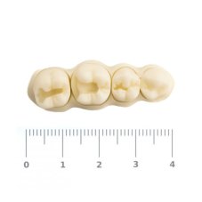 CaviTooth