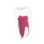 EndoTooth 37 Lower Molar (More Complex)