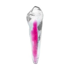 EndoTooth 43 Lower Canine