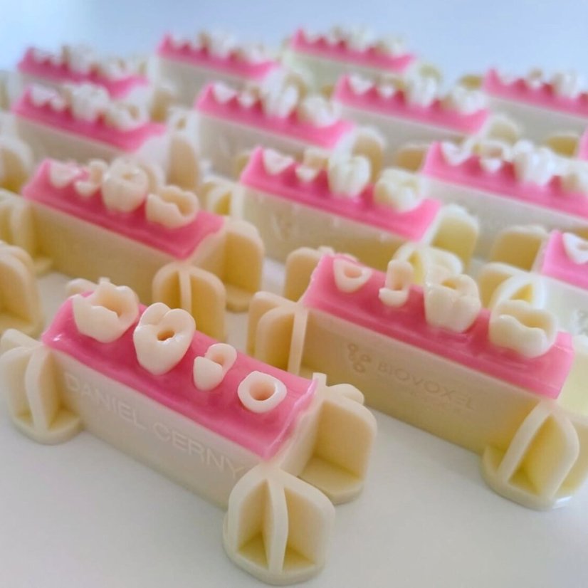 Post-Endo Model - Modelo: Modelo B