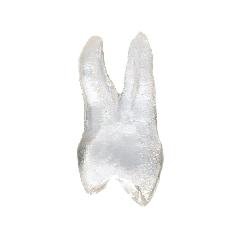 EndoTooth 14 Upper Premolar - Priehladnosť: Priehľadný, Trepanácia: Trepanovaný, Zubná dreň: Bez drene