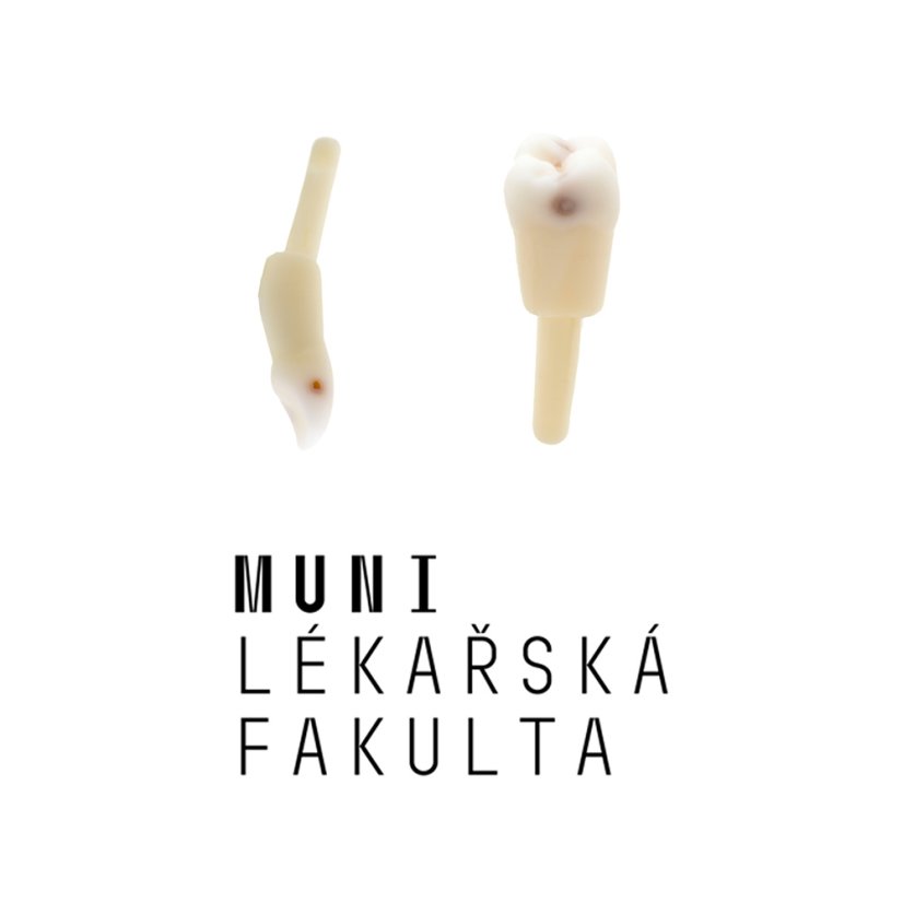 LF Brno Package CariesTooth, 4th Year