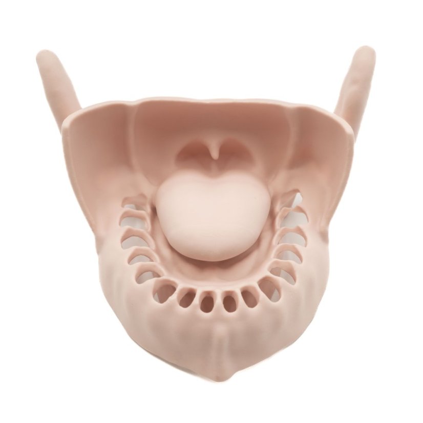 Replacement Gingiva for the Mandibular Anesthesia Model