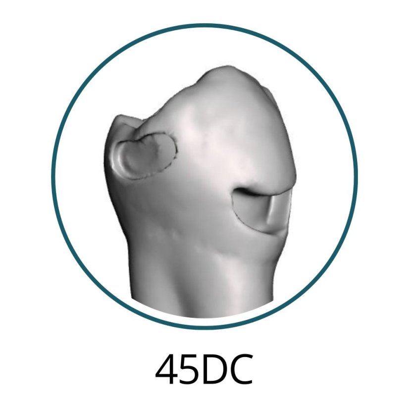 Monomaterial Teeth with Cavities (Biovoxel Typodont) - Elige el diente: 15 Mesio - Occluso - Distal Cavity