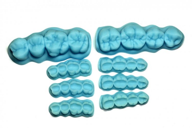 Essential Dental Anatomy Models + 10x OccluTooth package