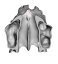 Surgical Training Jaw Model