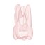 Endotooth 17 Upper Molar (Biovoxel Typodont)