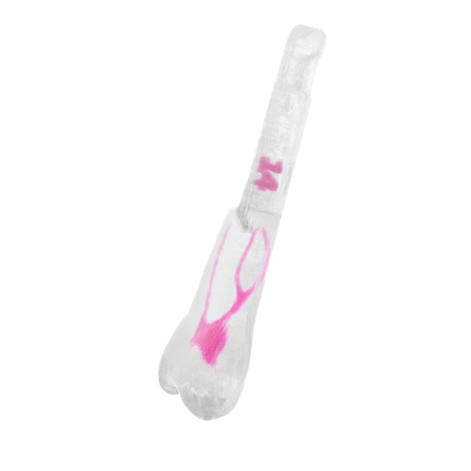 EndoTooth 14 Upper Premolar (KaVo Analog)