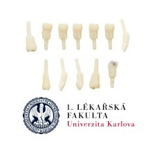 LFUK Prague Package., 2nd year- Elective Course