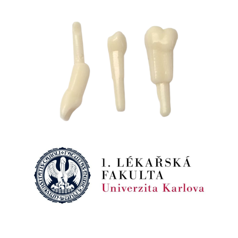 LFUK Prague Package, 3rd year