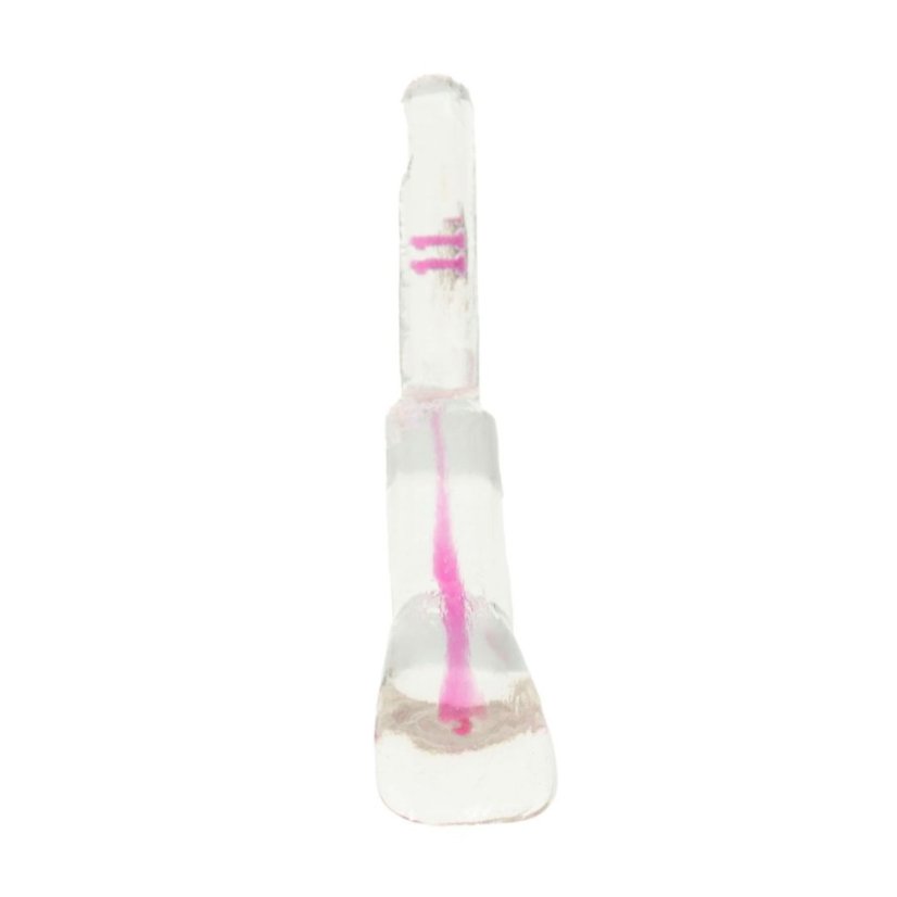 EndoTooth 11 Central Incisor (KaVo Analog)
