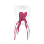 EndoTooth 84 Deciduous Lower Molar - Transparencia: Opaco, Acceso al diente: Accedido, Pulpa dental: Con pulpa