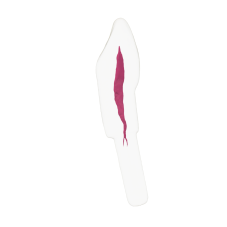 EndoTooth 43 Lower Canine (KaVo Analog)