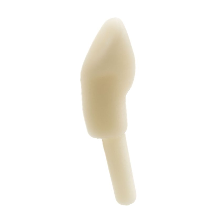 Monomaterial Teeth (Kavo Analog) - Elige el diente: 14