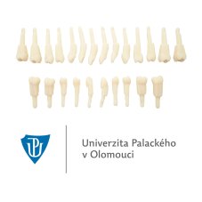 LF UP Olomouc Package