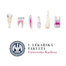 LFUK Prague Package, 4th year