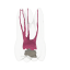 Opaque Endotooth 16 with Occlusal Caries (Biovoxel Typodont)