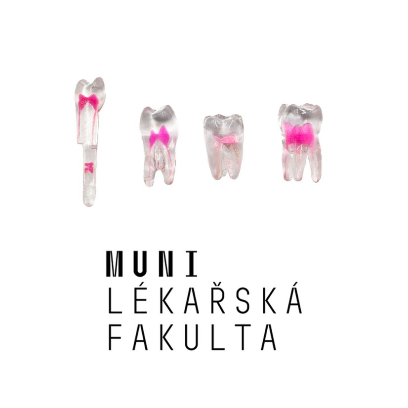 LF Brno Package EndoTooth, 3rd Year