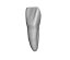 EndoTooth 11 Upper Incisor for Internal Bleach Training (Biovoxel Typodont)