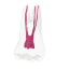 Endotooth 16 Upper Molar (Biovoxel Typodont)