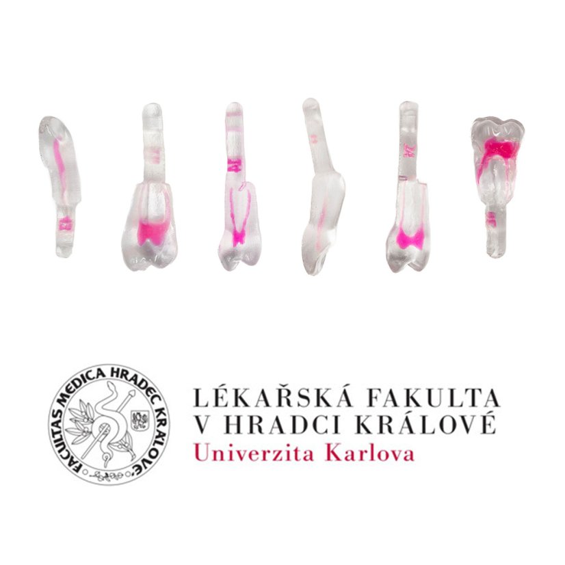 LF Hradec Králové Package