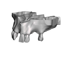 Surgical Training Jaw Model