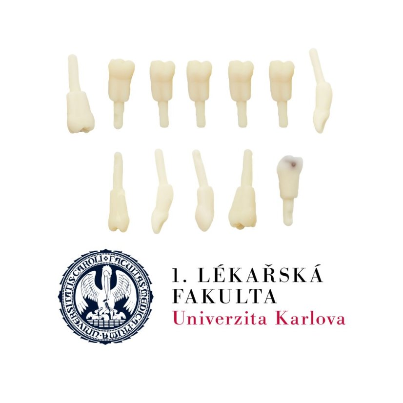 LFUK Prague Package., 2nd year- Elective Course
