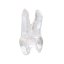 EndoTooth 14 Upper Premolar (Mesio-Occlusal access) - Transparencia: Transparente, Pulpa dental: Sin pulpa