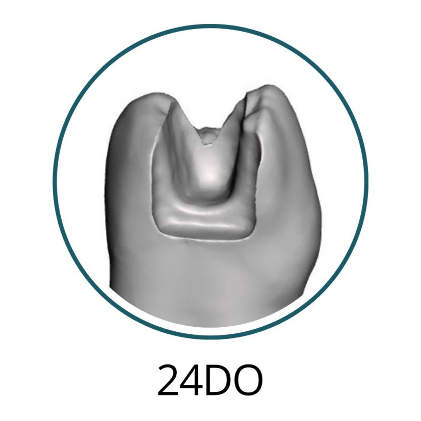 Monomaterial Teeth with Cavities (Biovoxel Typodont) - Elige el diente: 15 Mesio - Occluso - Distal Cavity
