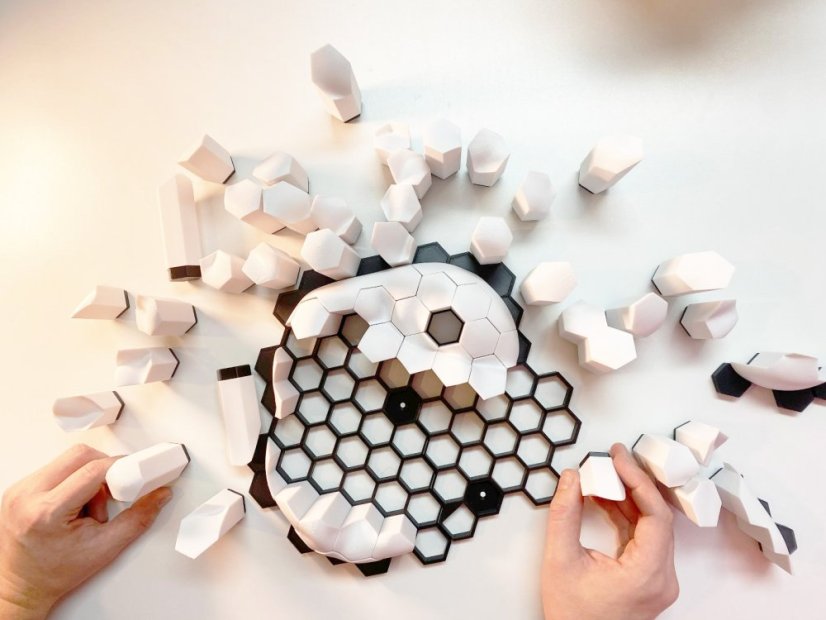 3D Molar Puzzle