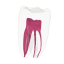EndoTooth 36 Lower Molar (Less Complex) - Transparencia: Transparente, Acceso al diente: Intacto, no accedido