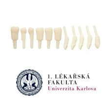 LFUK Prague Package, 2nd year