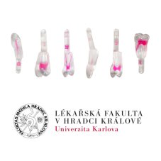 LF Hradec Králové Package