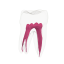 EndoTooth 37 Lower Molar (More Complex)