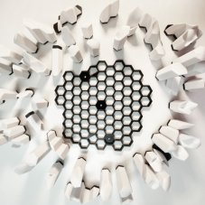 3D Molar Puzzle