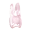 Endotooth 17 Upper Molar (Biovoxel Typodont) - Transparency: Transparent, Tooth Access: Accessed, Pulp: Without the pulp