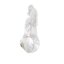 EndoTooth 14 Upper Premolar (Mesio-Occlusal access) - Transparencia: Transparente, Pulpa dental: Sin pulpa